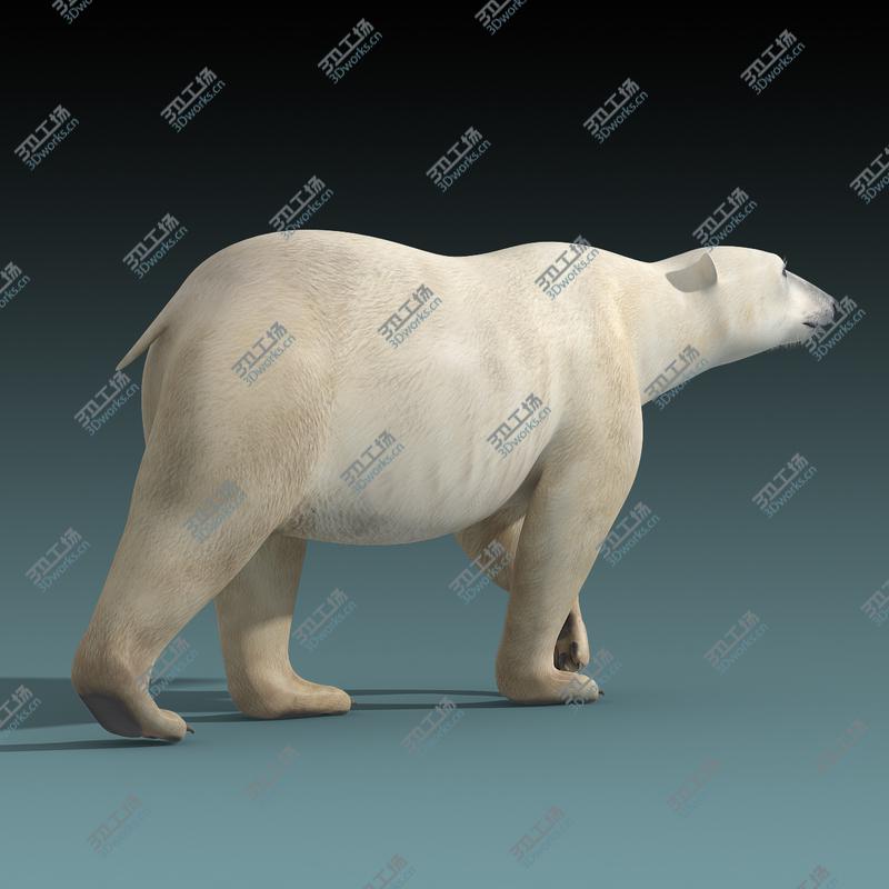 images/goods_img/2021040235/Polar Bear(RIGGED)/5.jpg